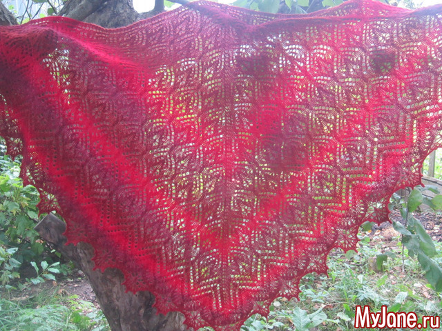 " ������� �����" �������� ����� ���������