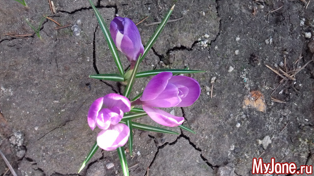 �������� �����