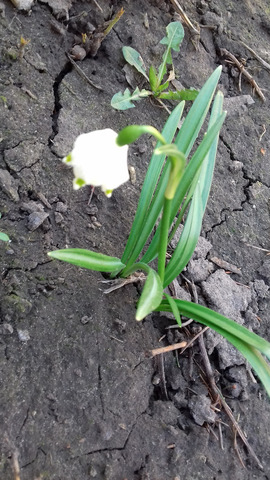 �������� �����