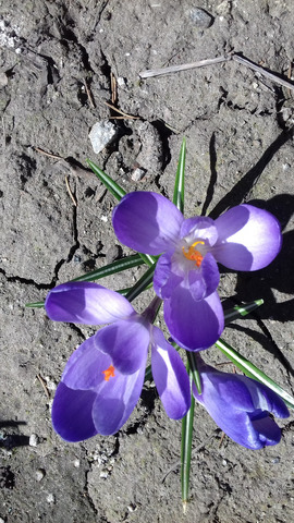 �������� �����