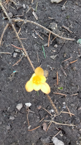 �������� �����