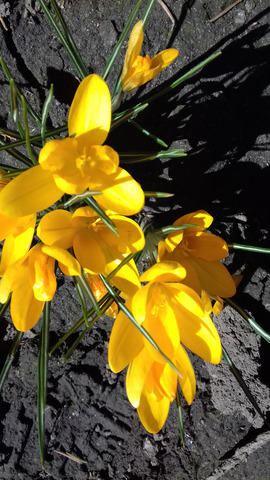 �������� �����