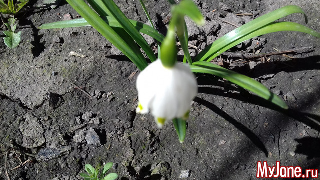 �������� �����