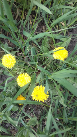 �������� �����