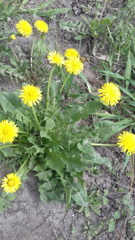 �������� �����