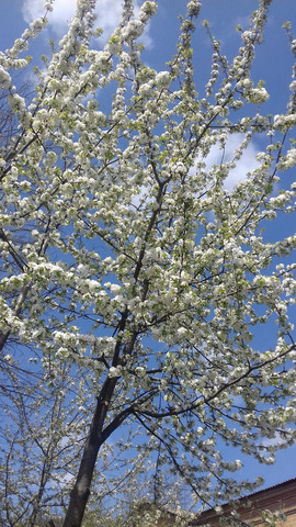 �������� �����