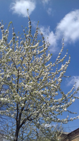 �������� �����