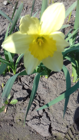 �������� �����