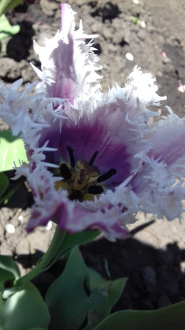 �������� �����