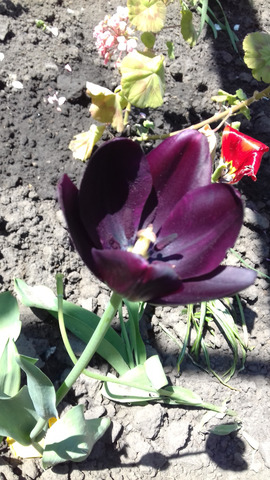 �������� �����