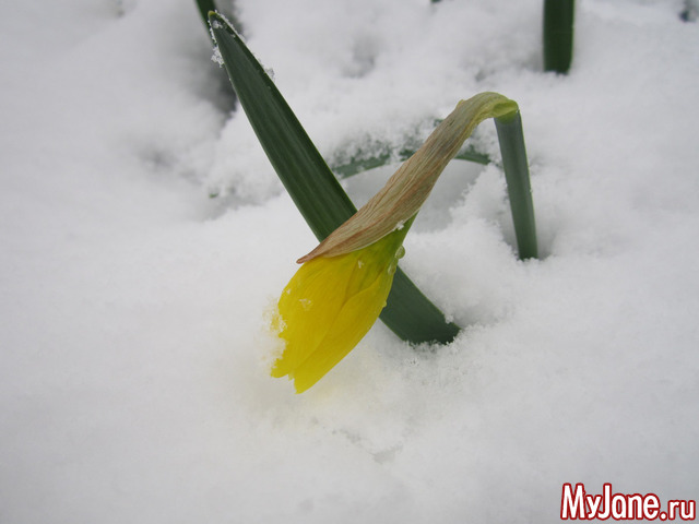 ������� � �����