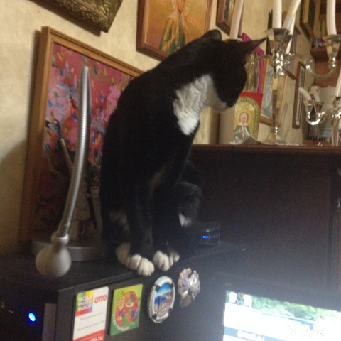 ���������