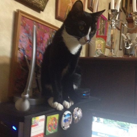 ���������