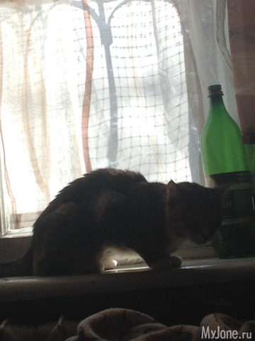 ���������