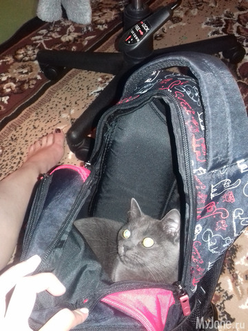 �������