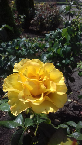 �������� �����