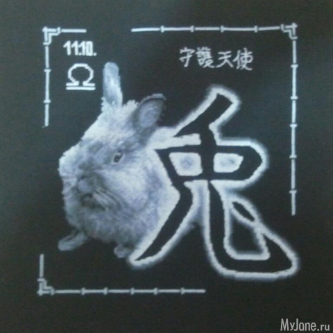 ��� ������� � ������������ ������ ����