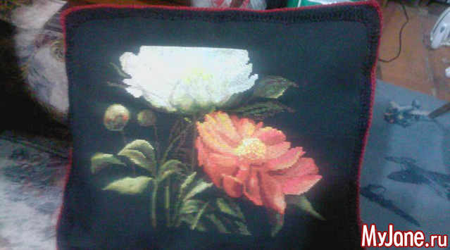 ���������