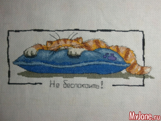 �� ����� ����! �� ����������!