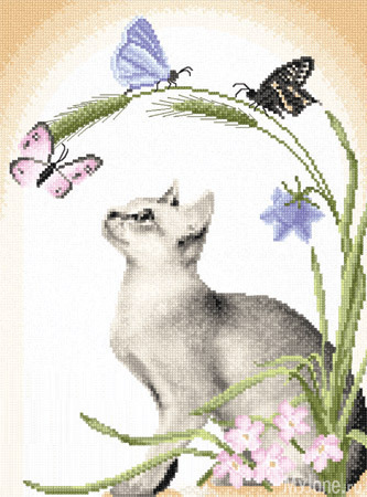 ������ �������