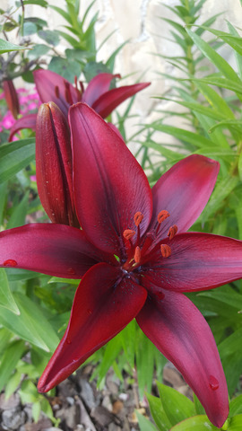 ����� � ����������� �������.