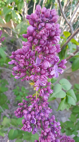 ����� � ����������� �������.