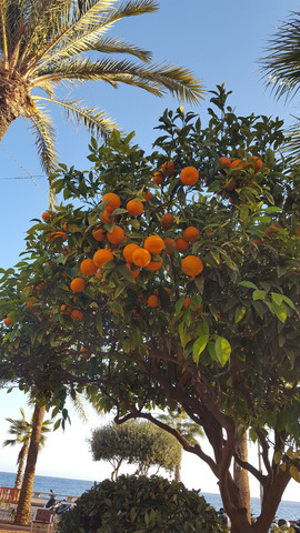 ����� � ����������� �������.