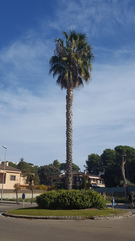 ����� � ����������� �������.