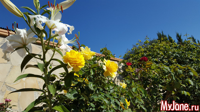 ����� � ����������� �������.