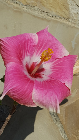 ����� � ����������� �������.