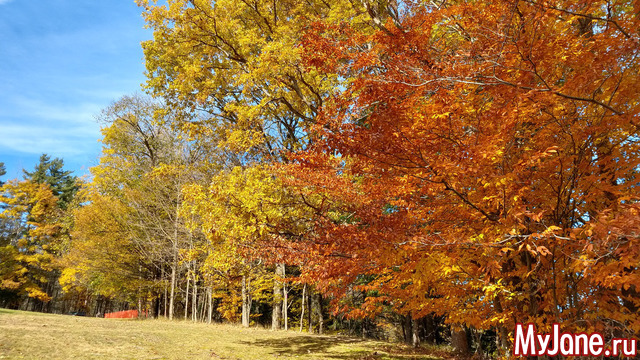 Letchworth State Park. USA. ������ 2018.