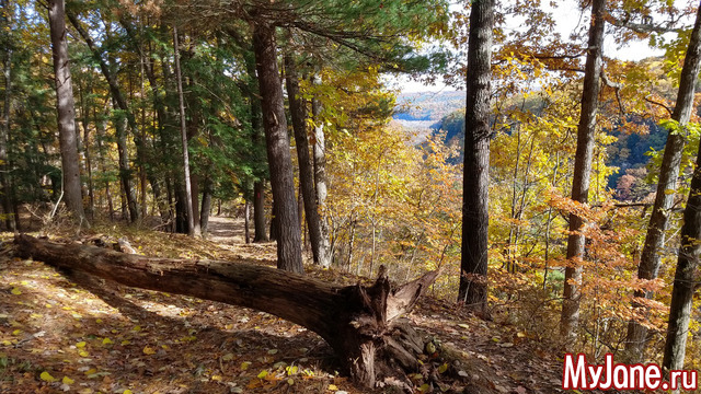 Letchworth State Park. USA. ������ 2018.