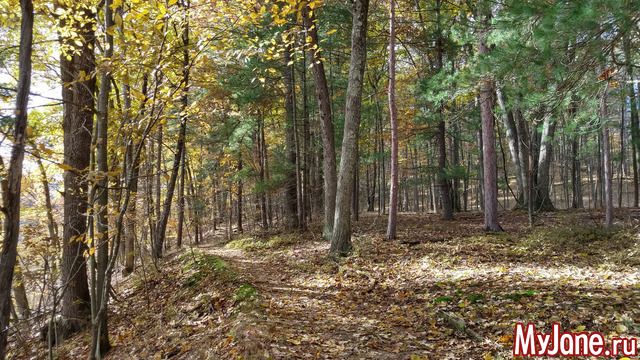 Letchworth State Park. USA. ������ 2018.