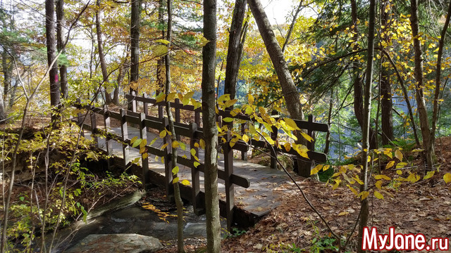 Letchworth State Park. USA. ������ 2018.