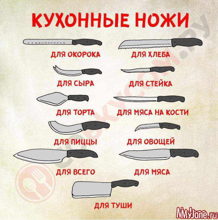 Slice and Dice with Confidence: How to Choose the Perfect Knife Yuppiechef Knife
