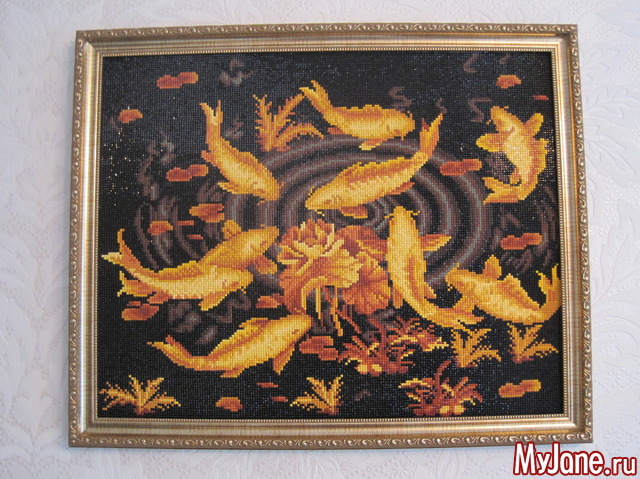 9 ������ - ������ ��������� �� ���-���