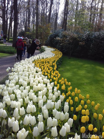 ����� ������ � �������� 2019