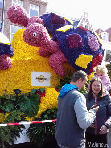 ����� ������ � �������� 2019