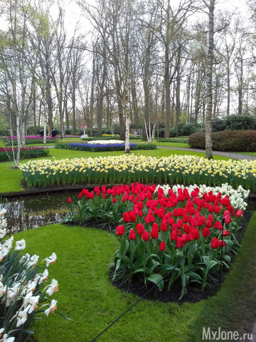 ����� ������ � �������� 2019