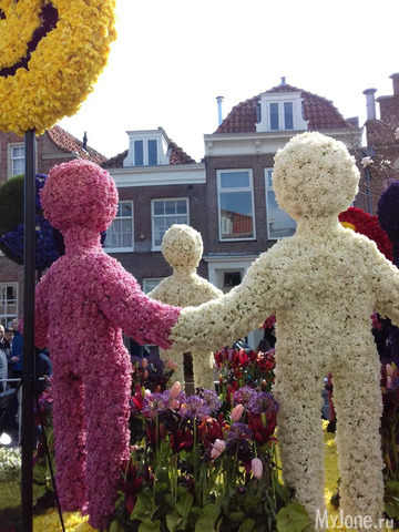 ����� ������ � �������� 2019