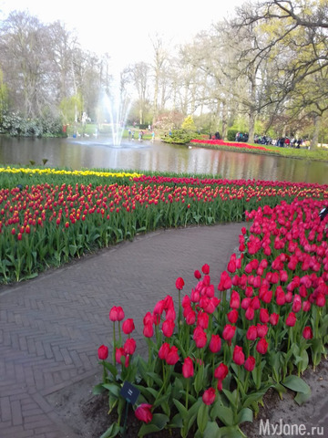 ����� ������ � �������� 2019