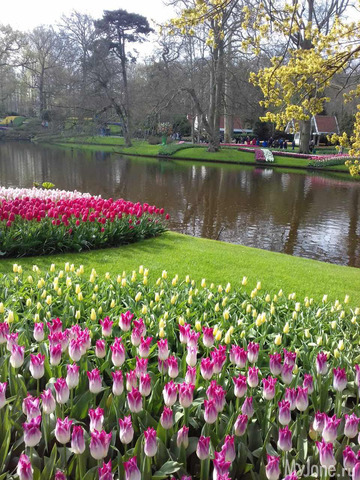 ����� ������ � �������� 2019