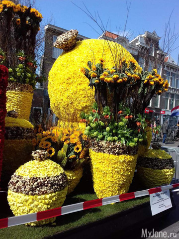 ����� ������ � �������� 2019