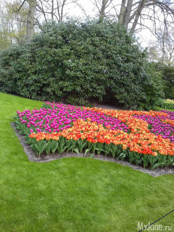 ����� ������ � �������� 2019