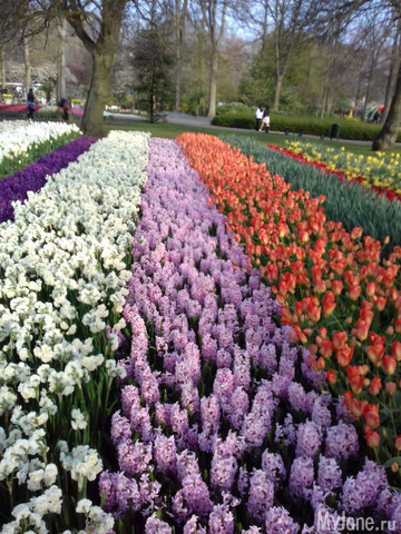 ����� ������ � �������� 2019