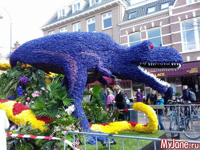 ����� ������ � �������� 2019