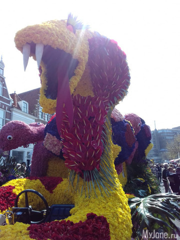 ����� ������ � �������� 2019