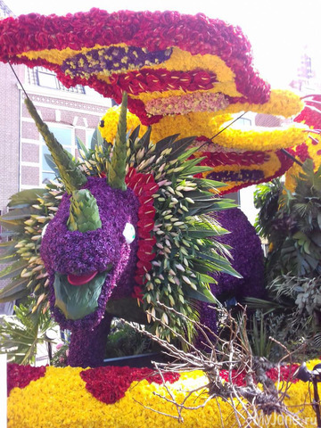 ����� ������ � �������� 2019