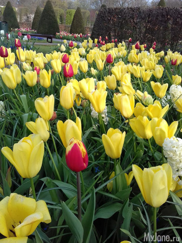 ����� ������ � �������� 2019