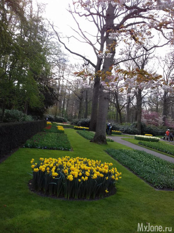 ����� ������ � �������� 2019